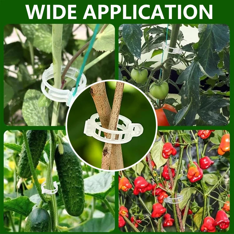 Plant Support Clips【100 pcs】