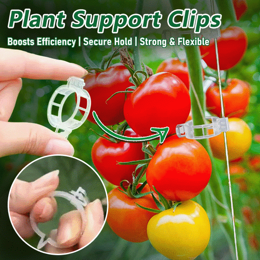 Plant Support Clips【100 pcs】