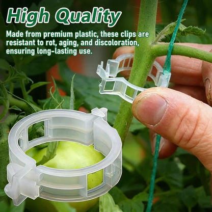 Plant Support Clips【100 pcs】