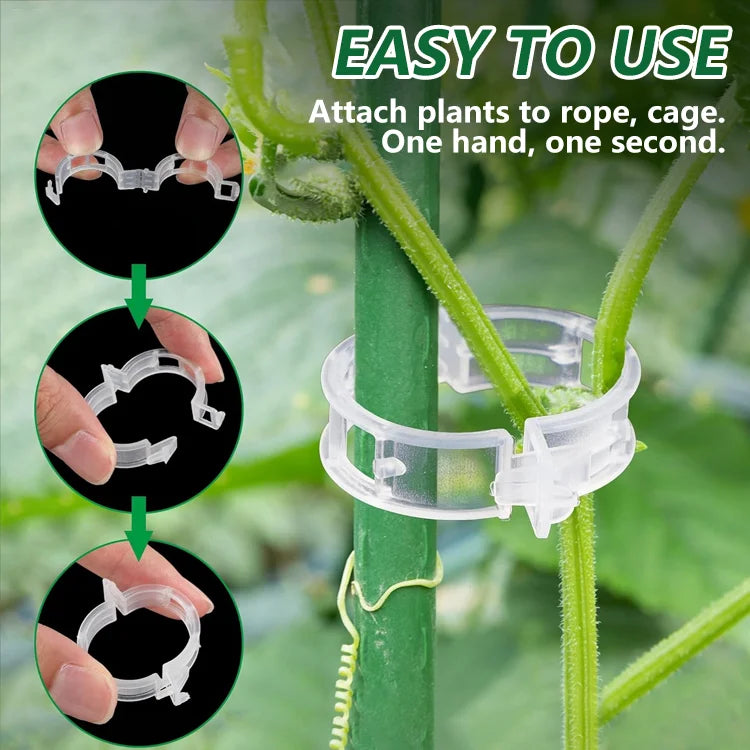 Plant Support Clips【100 pcs】
